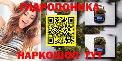 a pvp Малгобек