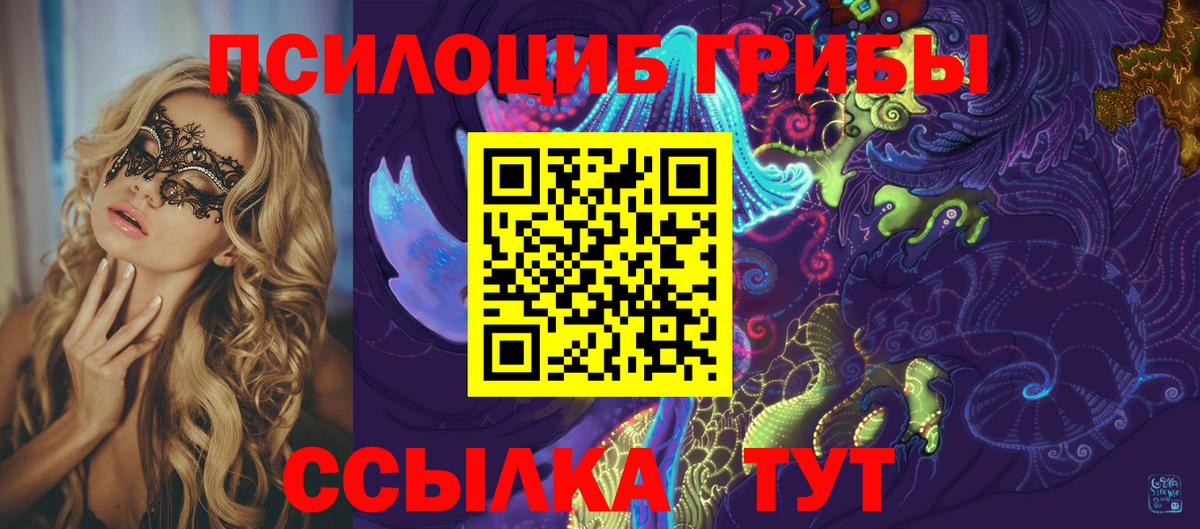 Псилоцибиновые грибы Psilocybine cubensis Щёлково