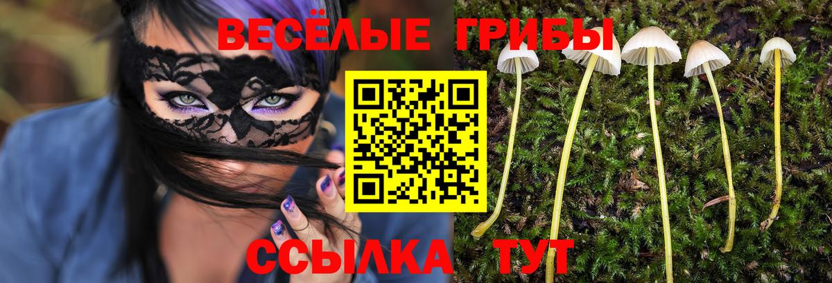 Галлюциногенные грибы Magic Shrooms  Вход с VPN  Галлюциногенные грибы MAGIC MUSHROOMS  Щёлково 